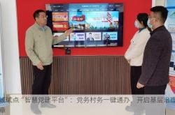 聊城试点“智慧党建平台”：党务村务一键通办，开启基层治理新篇章