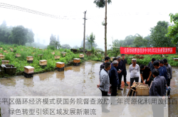 茌平区循环经济模式获国务院督查激励，年资源化利用废铝百万吨，绿色转型引领区域发展新潮流